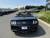 Ford Mustang GT CABRIOLET 5.0L V8 BVA - <small></small> 54.900 € <small>TTC</small> - #4