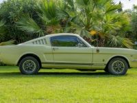 Ford Mustang GT V8 Fastback - <small></small> 69.990 € <small>TTC</small> - #4