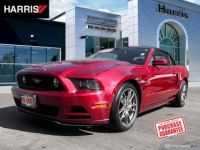 Ford Mustang gt v8 tout compris hors homologation 4500e - <small></small> 34.134 € <small>TTC</small> - #1