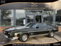 Ford Mustang Mach1 - <small></small> 45.000 € <small>TTC</small> - #53