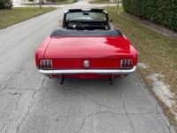Ford Mustang restauree v8 289 1966 tout compris - <small></small> 45.192 € <small>TTC</small> - #8