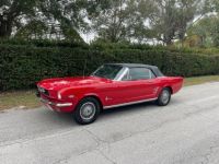 Ford Mustang restauree v8 289 1966 tout compris - <small></small> 45.192 € <small>TTC</small> - #10