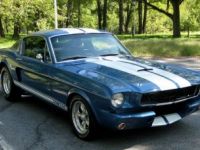 Ford Mustang Shelby fastback  - <small></small> 60.000 € <small>TTC</small> - #7