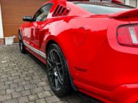 Ford Mustang Shelby GT 500 - <small></small> 64.990 € <small>TTC</small> - #1