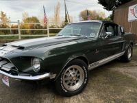 Ford Mustang Shelby GT 5000 KR - Prix sur Demande - #2