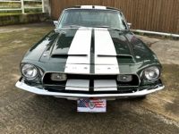 Ford Mustang Shelby GT 5000 KR - Prix sur Demande - #6