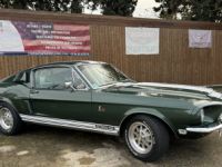 Ford Mustang Shelby GT 5000 KR - Prix sur Demande - #10