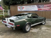 Ford Mustang Shelby GT 5000 KR - Prix sur Demande - #12