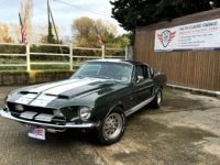 Ford Mustang Shelby GT 5000 KR - Prix sur Demande - #1