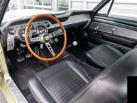 Ford Mustang Shelby GT350 - <small></small> 223.900 € <small>TTC</small> - #6