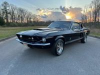 Ford Mustang Shelby GT350 - <small></small> 169.000 € <small>TTC</small> - #1