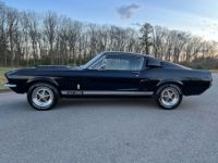 Ford Mustang Shelby GT350 - <small></small> 169.000 € <small>TTC</small> - #2
