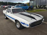Ford Mustang Shelby GT350 1970 V8 5,8L - <small></small> 119.900 € <small></small> - #7