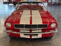 Ford Mustang Shelby gt350 repli - <small></small> 104.900 € <small>TTC</small> - #3