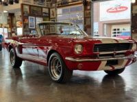 Ford Mustang Shelby gt350 repli - <small></small> 104.900 € <small>TTC</small> - #4