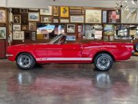 Ford Mustang Shelby gt350 repli - <small></small> 104.900 € <small>TTC</small> - #12