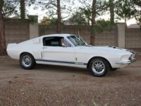 Ford Mustang Shelby gt500  - <small></small> 139.000 € <small>TTC</small> - #3