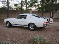 Ford Mustang Shelby gt500  - <small></small> 139.000 € <small>TTC</small> - #6