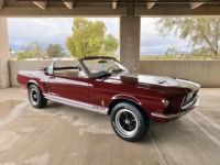 Ford Mustang Shelby gt500  - <small></small> 43.000 € <small>TTC</small> - #6