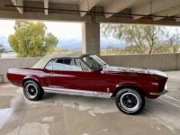 Ford Mustang Shelby gt500  - <small></small> 43.000 € <small>TTC</small> - #14