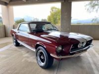 Ford Mustang Shelby gt500  - <small></small> 43.000 € <small>TTC</small> - #15