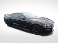 Ford Mustang Shelby GT500 FASTBACK - <small></small> 112.500 € <small>TTC</small> - #5