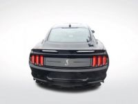 Ford Mustang Shelby GT500 FASTBACK - <small></small> 112.500 € <small>TTC</small> - #6