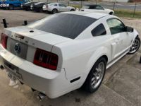 Ford Mustang Shelby v8 gt - <small></small> 34.990 € <small>TTC</small> - #3