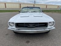 Ford Mustang SYLC EXPORT - <small></small> 33.900 € <small>TTC</small> - #4