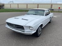 Ford Mustang SYLC EXPORT - <small></small> 33.900 € <small>TTC</small> - #23