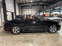 Ford Mustang V6 CABRIOLET - <small></small> 37.700 € <small>TTC</small> - #10