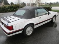 Ford Mustang v8 - <small></small> 19.500 € <small>TTC</small> - #3