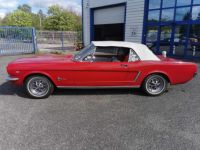 Ford Mustang V8, 228 cv, 289ci - <small></small> 39.500 € <small>TTC</small> - #3