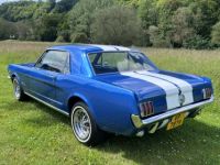 Ford Mustang V8 289 auto - <small></small> 42.700 € <small>TTC</small> - #6