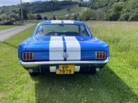 Ford Mustang V8 289 auto - <small></small> 42.700 € <small>TTC</small> - #7