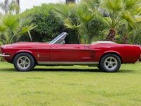 Ford Mustang V8 289 ci 200 ch cabriolet - <small></small> 57.990 € <small>TTC</small> - #2