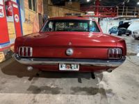 Ford Mustang V8 COUPE - <small></small> 22.900 € <small>TTC</small> - #6