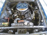 Ford Mustang V8 SYLC EXPORT - <small></small> 27.900 € <small>TTC</small> - #5