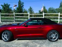 Ford Mustang VI PHASE 2 GT FULL OPTION PACK CARBONNE - Prix sur Demande - #2