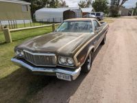 Ford Ranchero - <small></small> 20.000 € <small>TTC</small> - #1