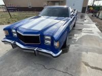 Ford Ranchero - <small></small> 33.000 € <small>TTC</small> - #2