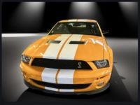 Ford Shelby GT 500 - <small></small> 55.000 € <small>TTC</small> - #1