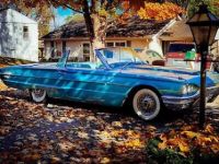 Ford Thunderbird - <small></small> 29.000 € <small>TTC</small> - #2