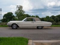 Ford Thunderbird - <small></small> 36.000 € <small>TTC</small> - #20