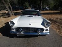 Ford Thunderbird - <small></small> 52.000 € <small>TTC</small> - #10