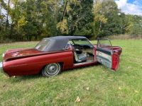 Ford Thunderbird - <small></small> 25.000 € <small>TTC</small> - #8