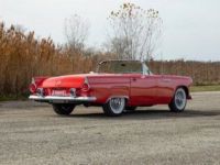 Ford Thunderbird - <small></small> 48.000 € <small>TTC</small> - #7