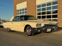 Ford Thunderbird - <small></small> 45.000 € <small>TTC</small> - #18