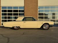 Ford Thunderbird - <small></small> 45.000 € <small>TTC</small> - #19