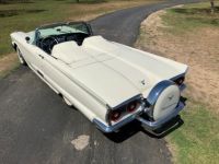 Ford Thunderbird - <small></small> 59.000 € <small>TTC</small> - #3